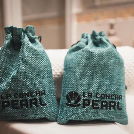 Apartment La Concha Pearl